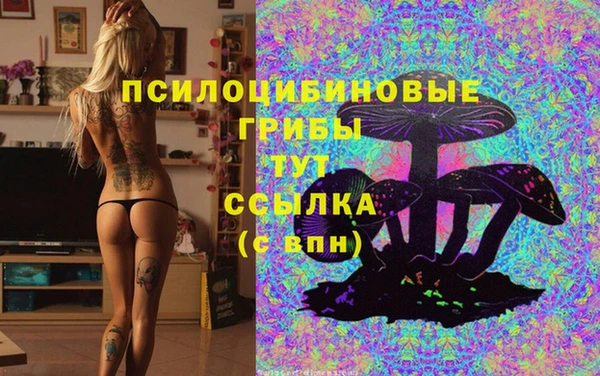 таблы Вязьма