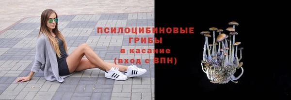 мдпв Вязники