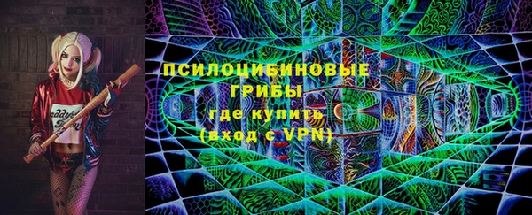 мдпв Вязники