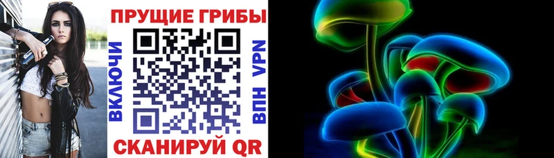 где купить   Любим  Галлюциногенные грибы Magic Shrooms 